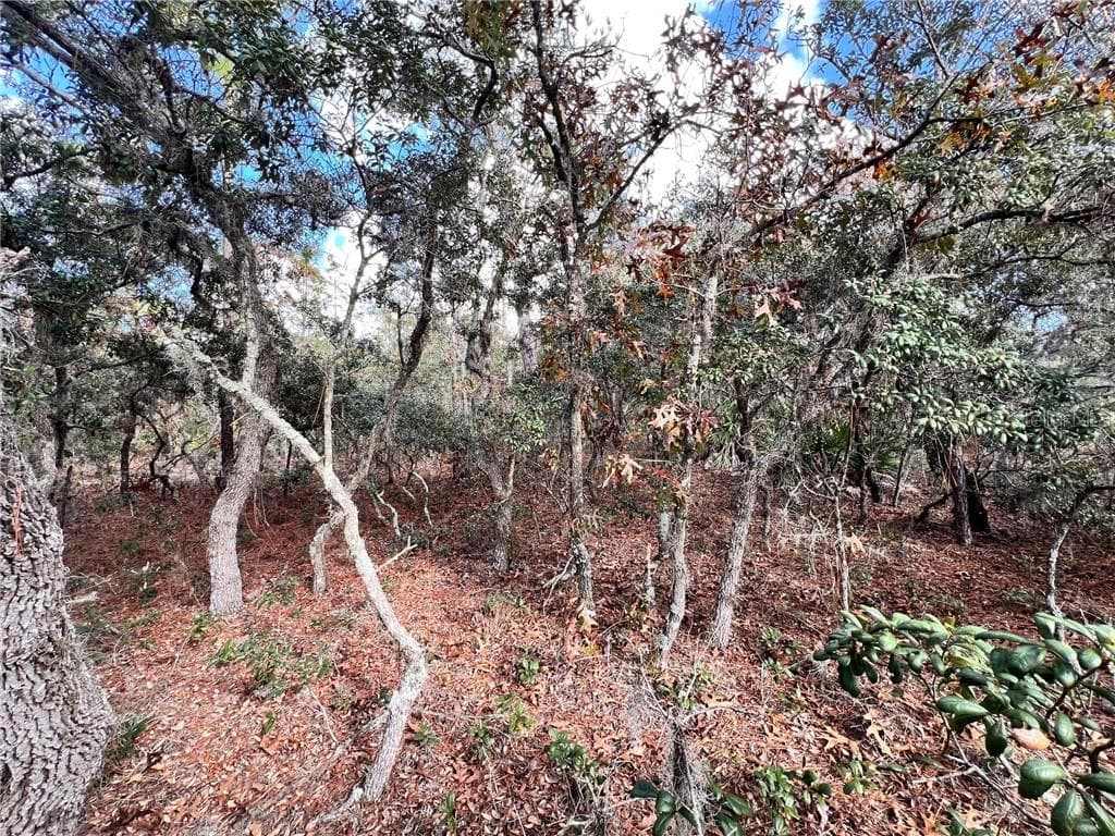 Land at 6328 W Pine Ridge Boulevard, Beverly Hills FL 34465, photo 7 of 14