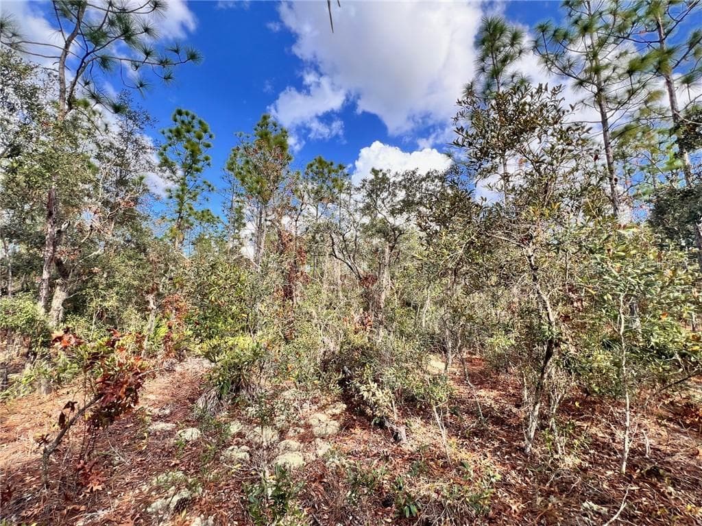 Land at 6328 W Pine Ridge Boulevard, Beverly Hills FL 34465, photo 8 of 14
