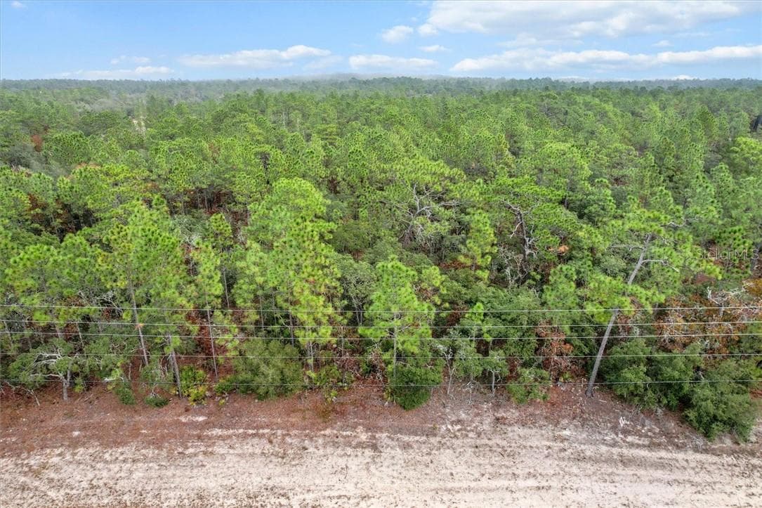 Land at 6328 W Pine Ridge Boulevard, Beverly Hills FL 34465, photo 11 of 14