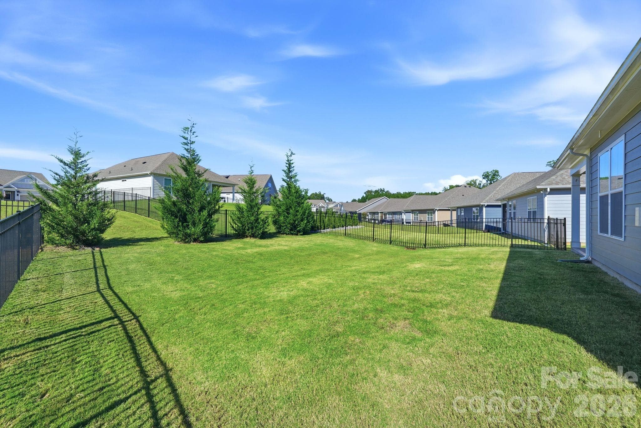 Back Yard - 4207 Millstream Road, Denver