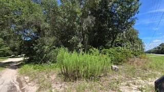 Land at 4284 CR 575, BUSHNELL, photo 2 of 3