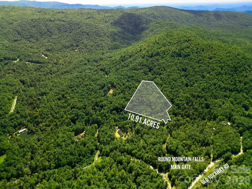 Lot at Brevard, photo 4 of 42