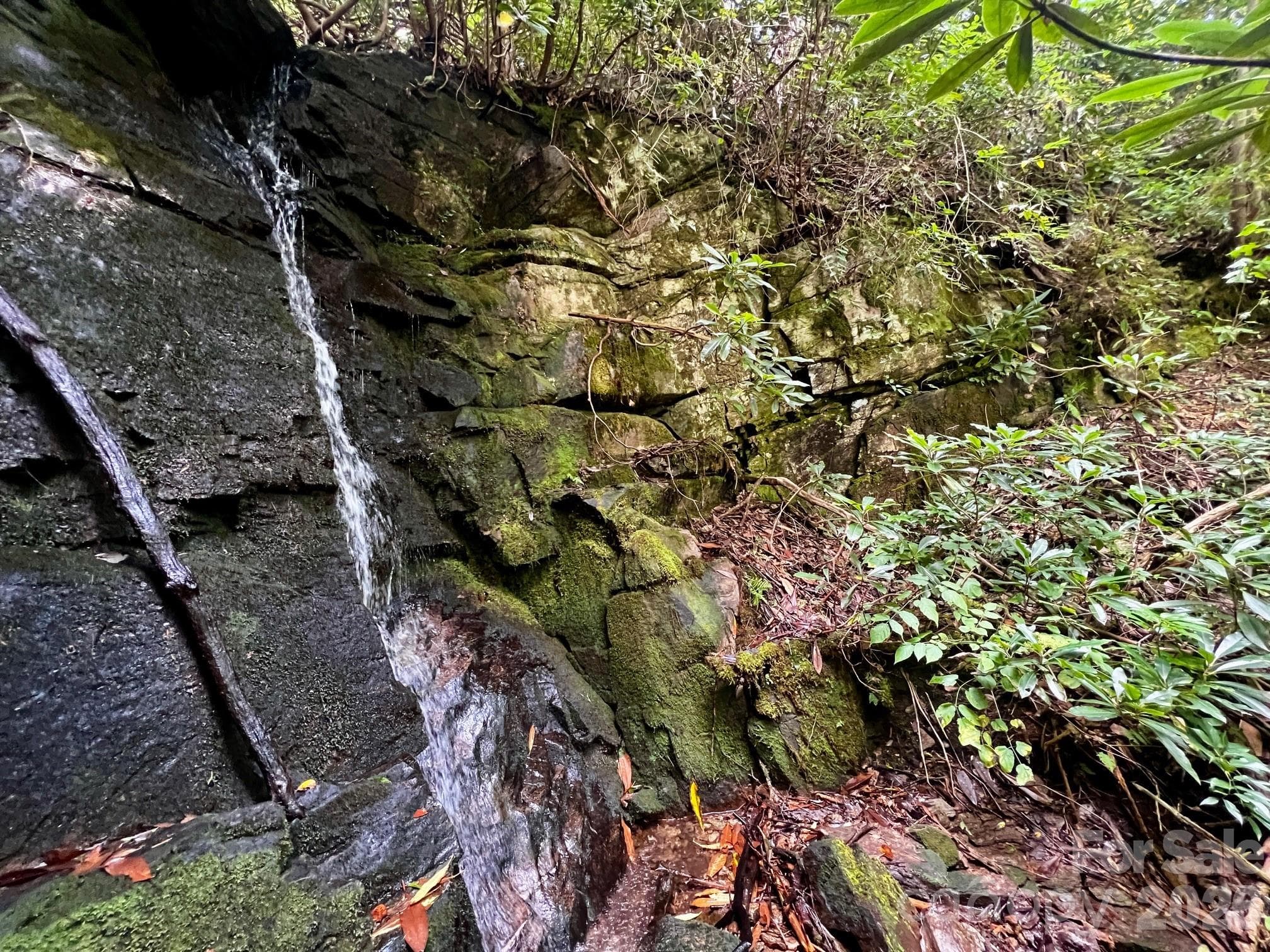 Waterfall appears to be on lot. buyer to verify. - Brevard