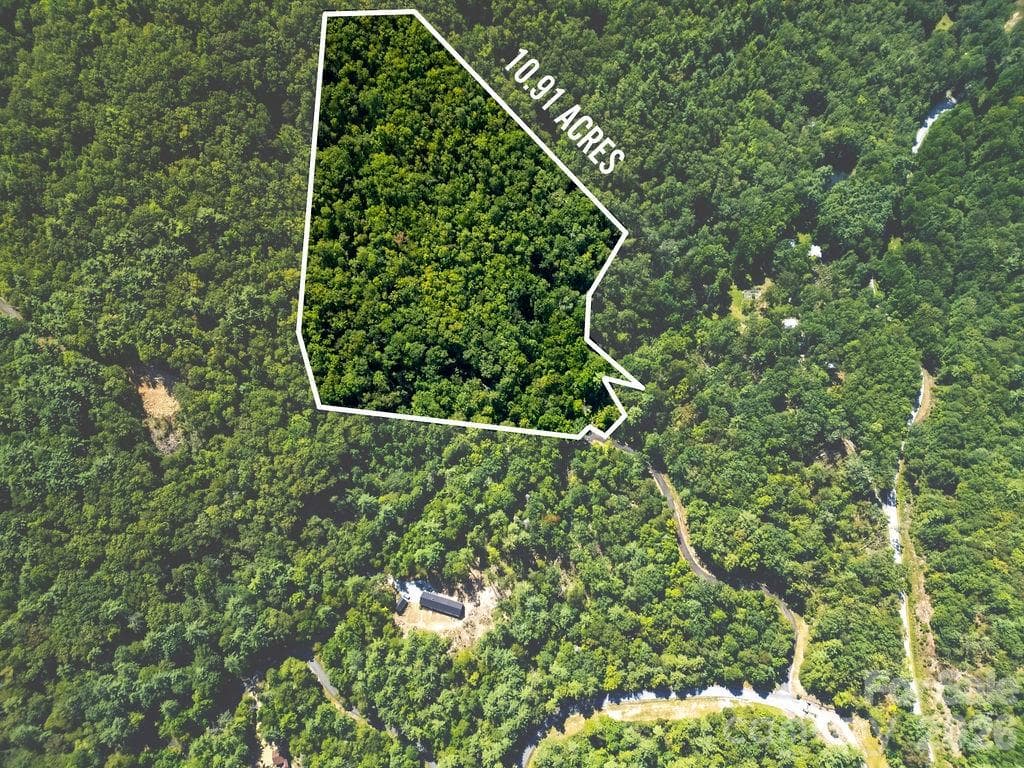 Lot at Brevard, photo 8 of 42
