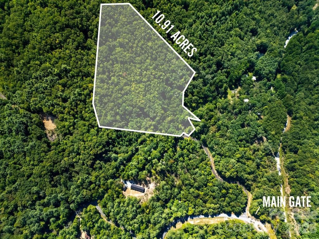 Lot at Brevard, photo 10 of 42