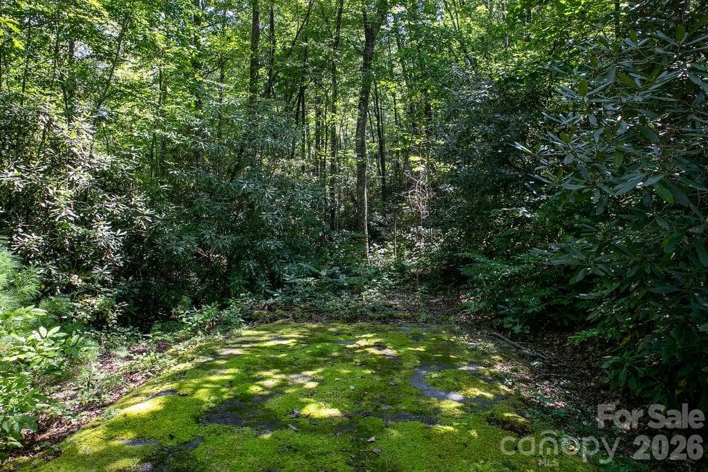 Lot at Brevard, photo 20 of 42