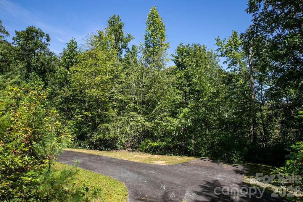 Lot at Brevard, photo 22 of 42