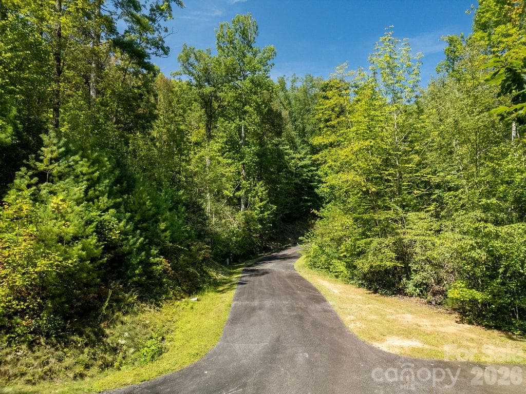 Lot at Brevard, photo 24 of 42
