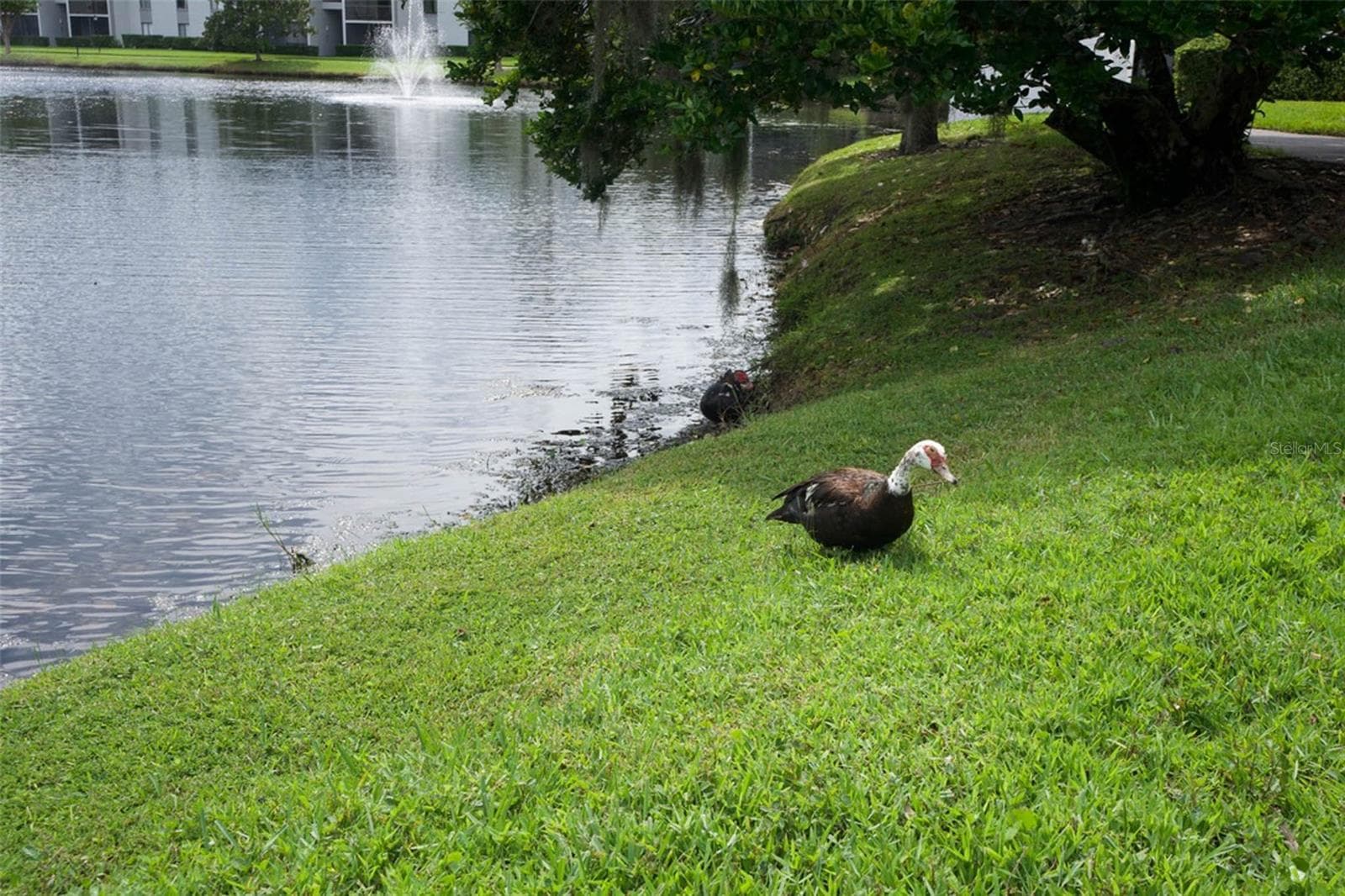 Condominium at 1228 S PINE RIDGE CIR #H2, SANFORD, photo 26 of 36