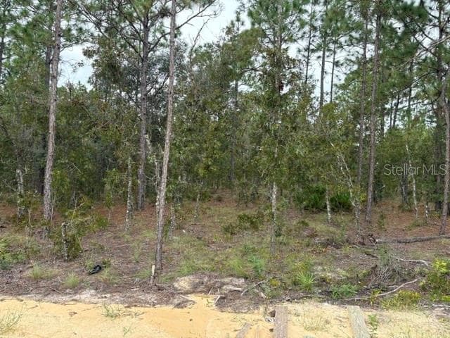 Single Family Residence at 8642 SW 128TH TER, DUNNELLON, photo 26 of 28