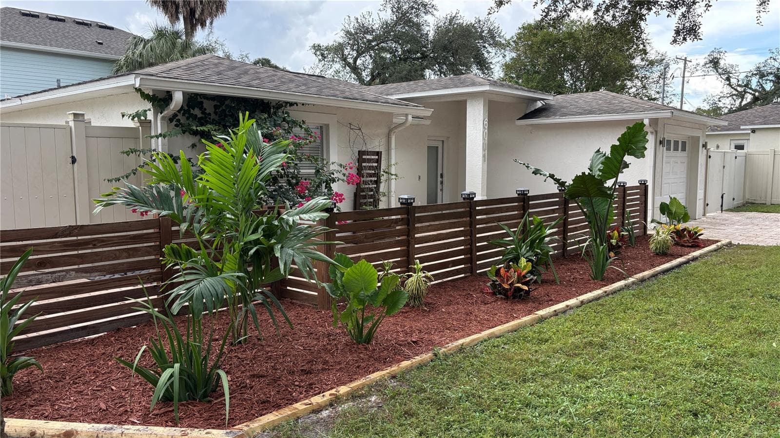 Landscaping in front yard - 6001 N LYNN AVE, TAMPA