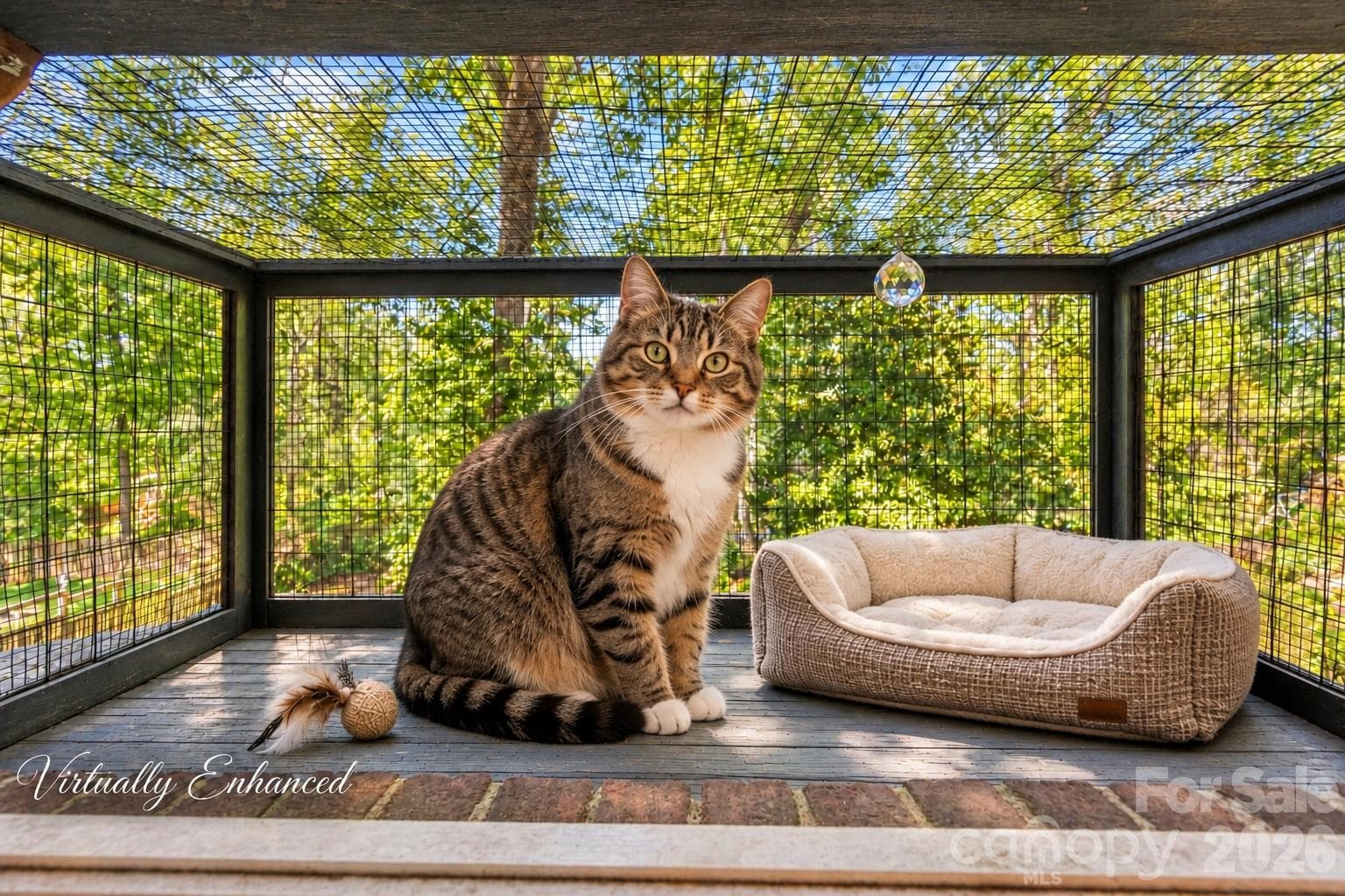 Virtually Staged - Built-in Catio (cat patio) - from Bedroom 2 Window - 525 East Street, Albemarle