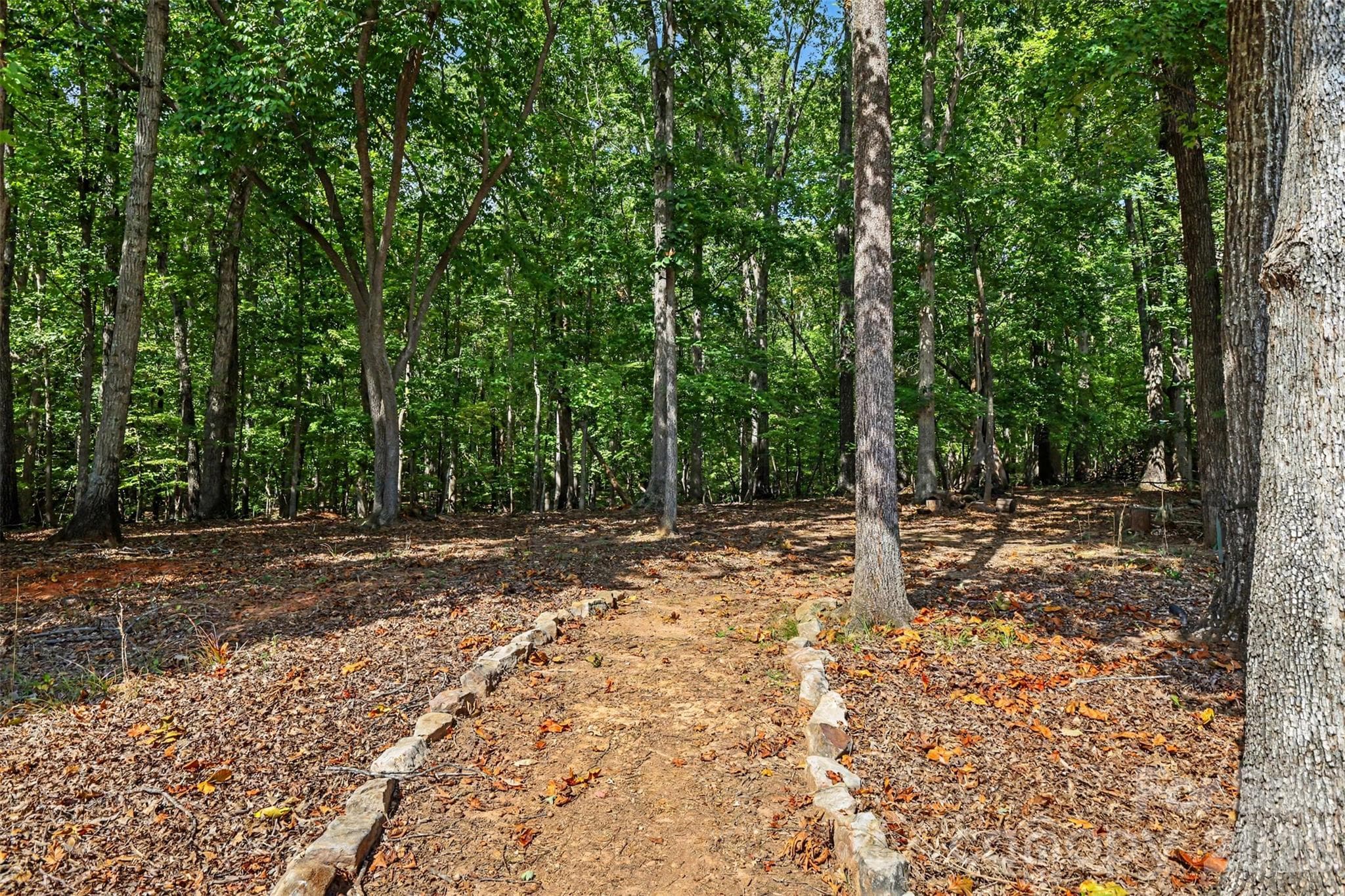 Private back yard surrounded by woods - 726 Kathy Dianne Drive, Fort Mill
