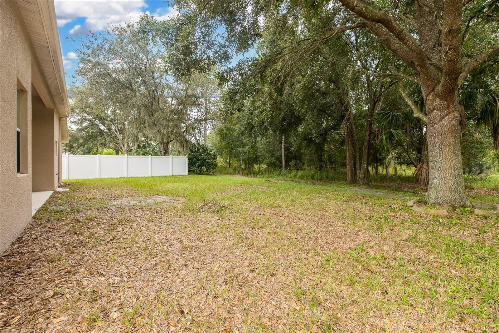 Single Family Residence at 5815 JUSTICIA LOOP, LAND O LAKES, photo 45 of 57