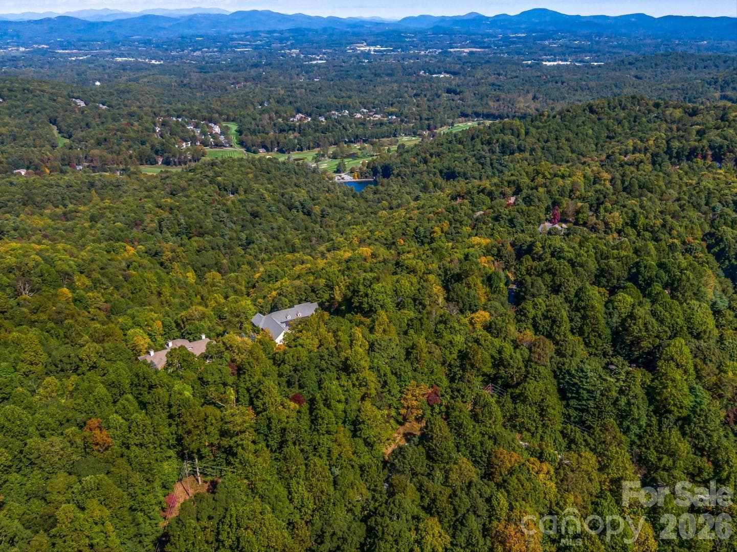 Lot at Lot 10 Berry Creek Drive, Flat Rock, photo 4 of 24