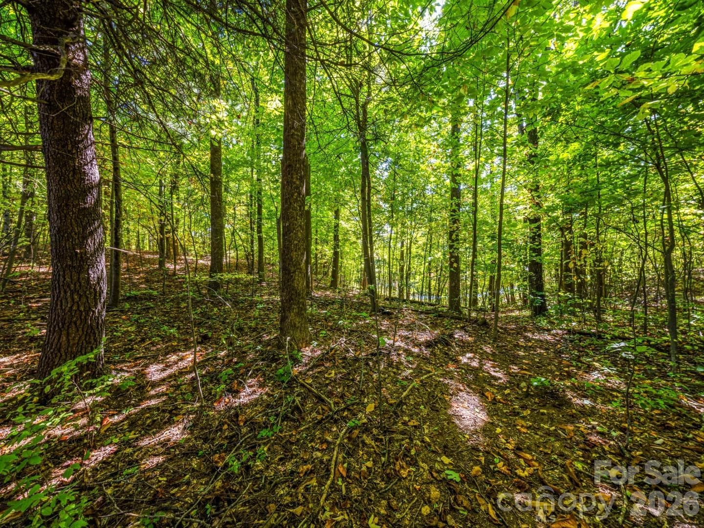 Lot at Lot 10 Berry Creek Drive, Flat Rock, photo 22 of 24