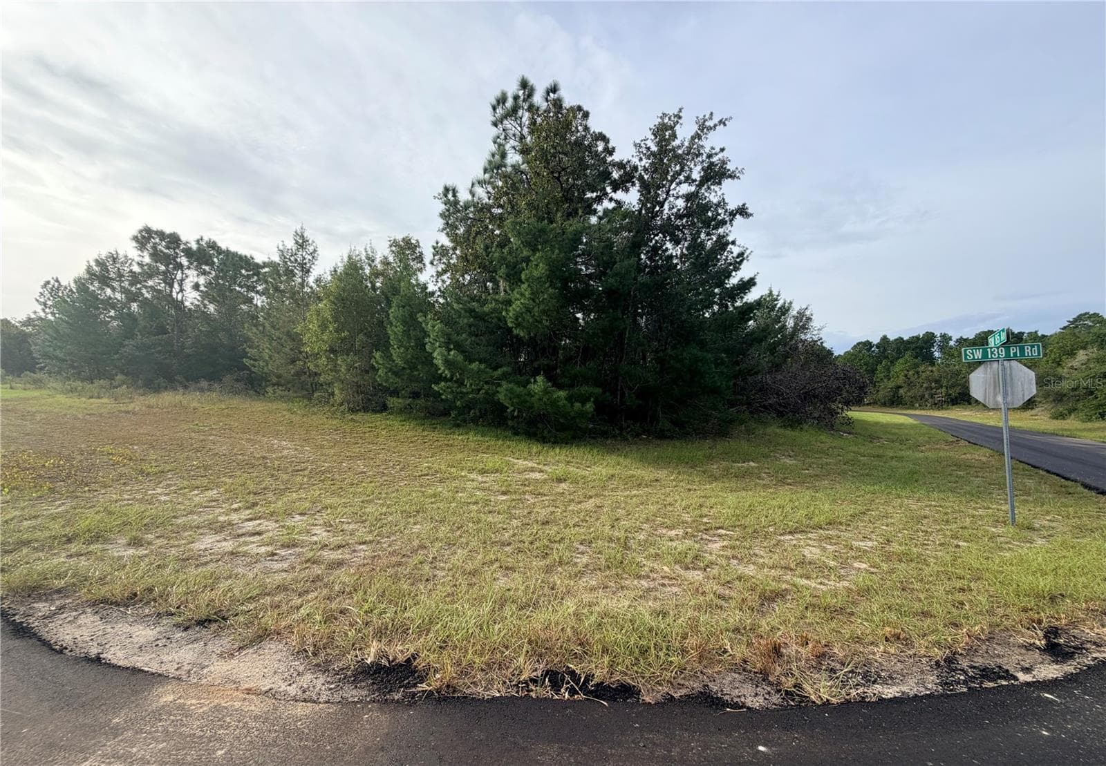 Land at 0 SW 139TH PLACE ROAD, OCALA, photo 3 of 8