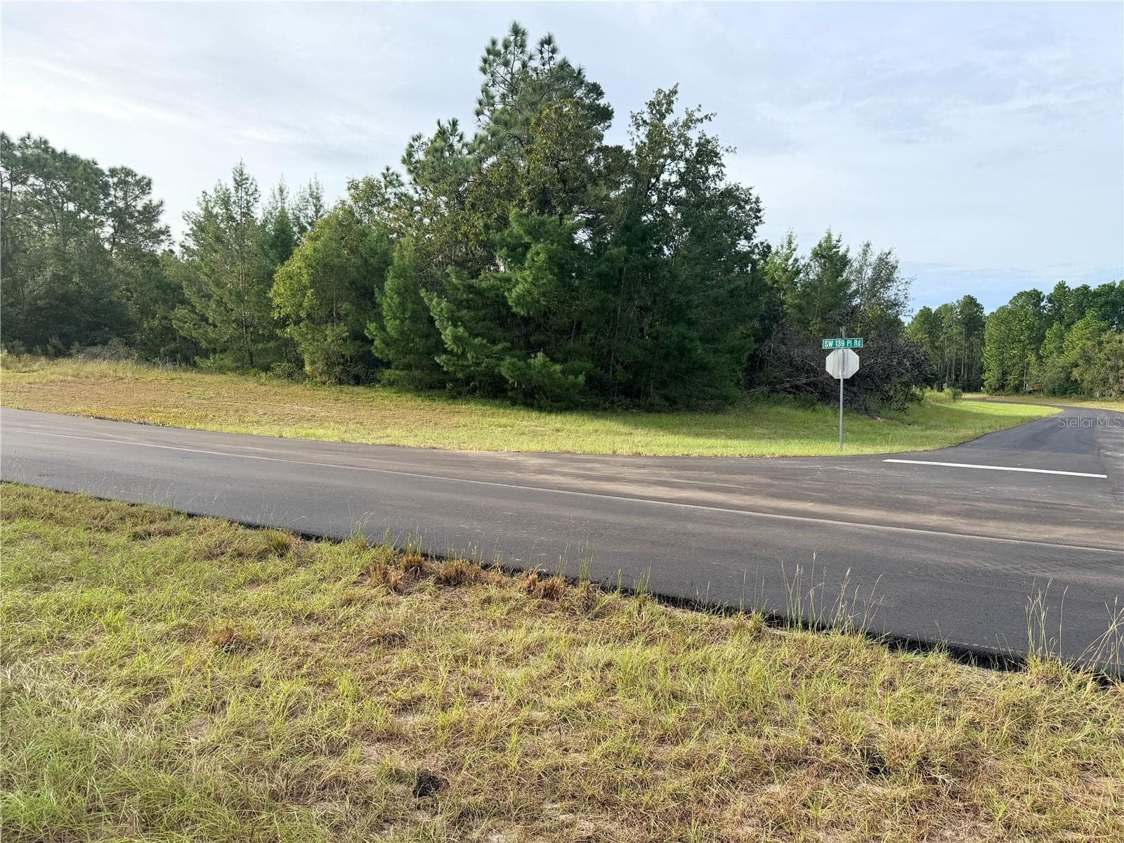 Land at 0 SW 139TH PLACE ROAD, OCALA, photo 4 of 8