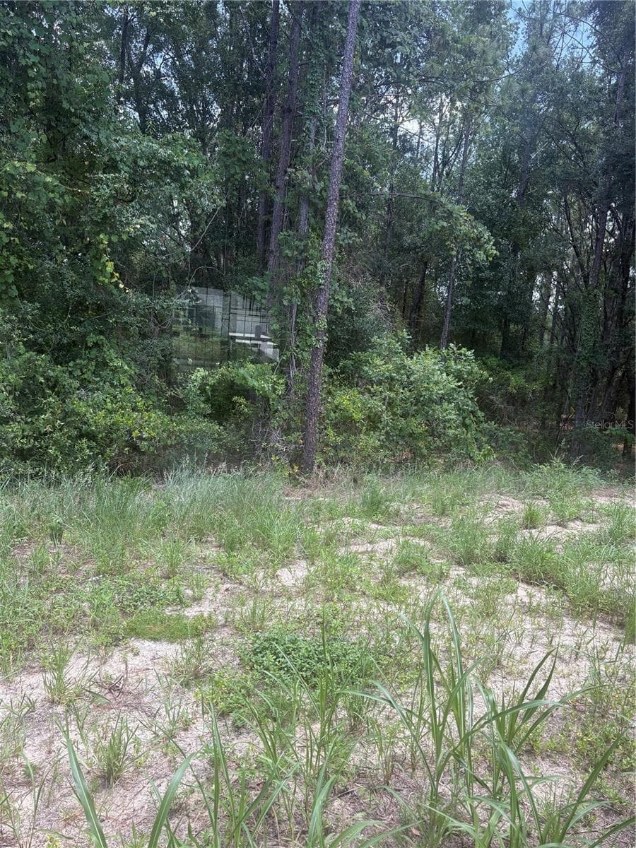 Single Family Residence at 10883 SE 119TH ST, BELLEVIEW, photo 10 of 12