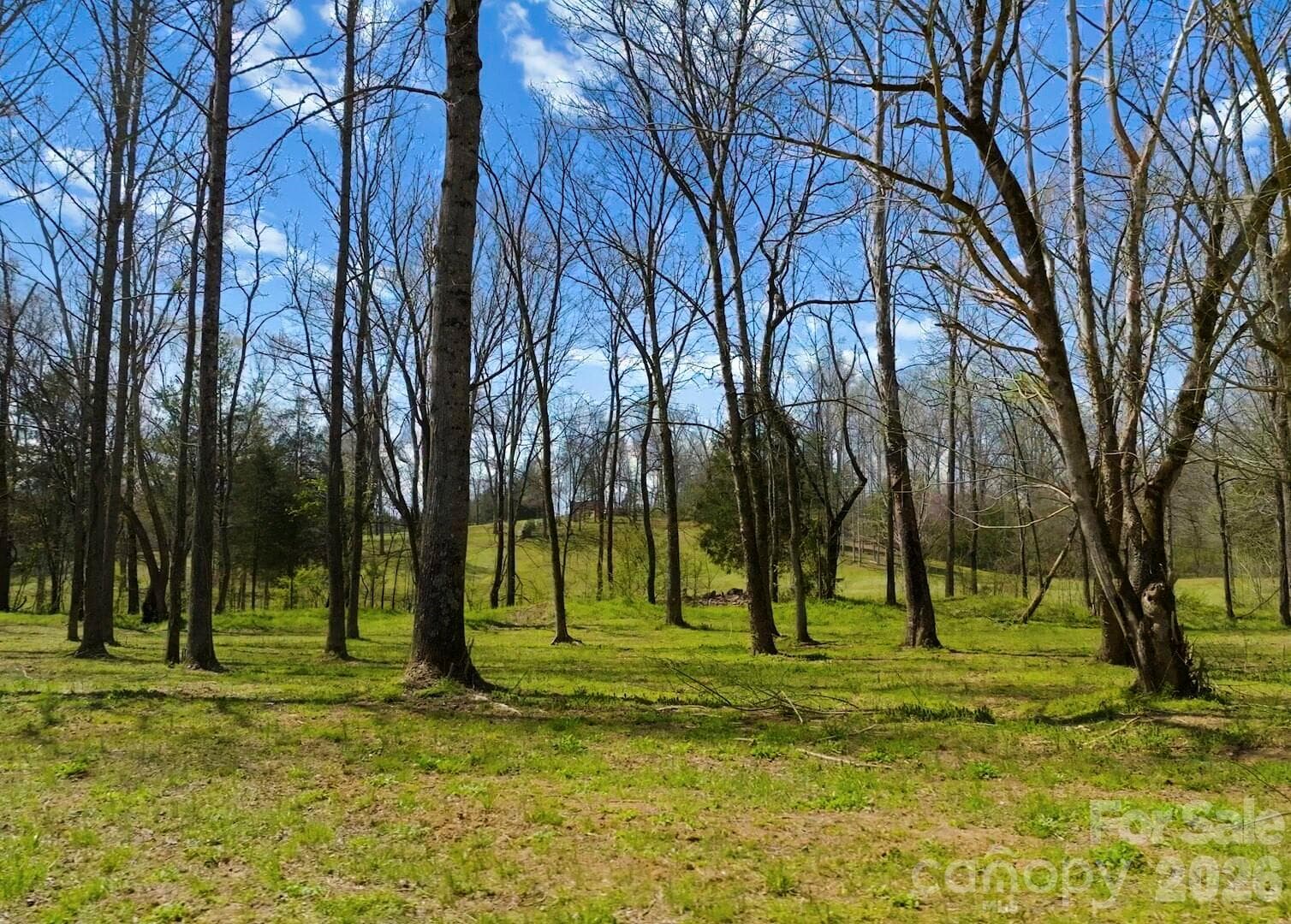 Acreage at Mooresville, photo 14 of 32