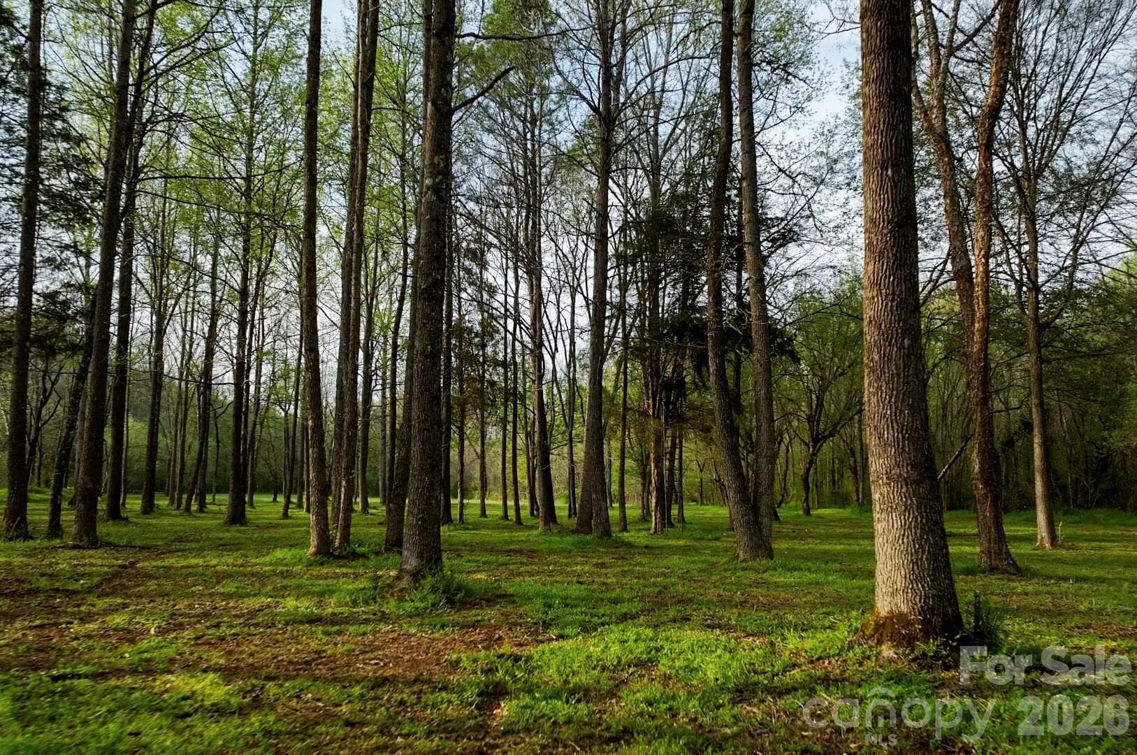 Acreage at Mooresville, photo 18 of 32