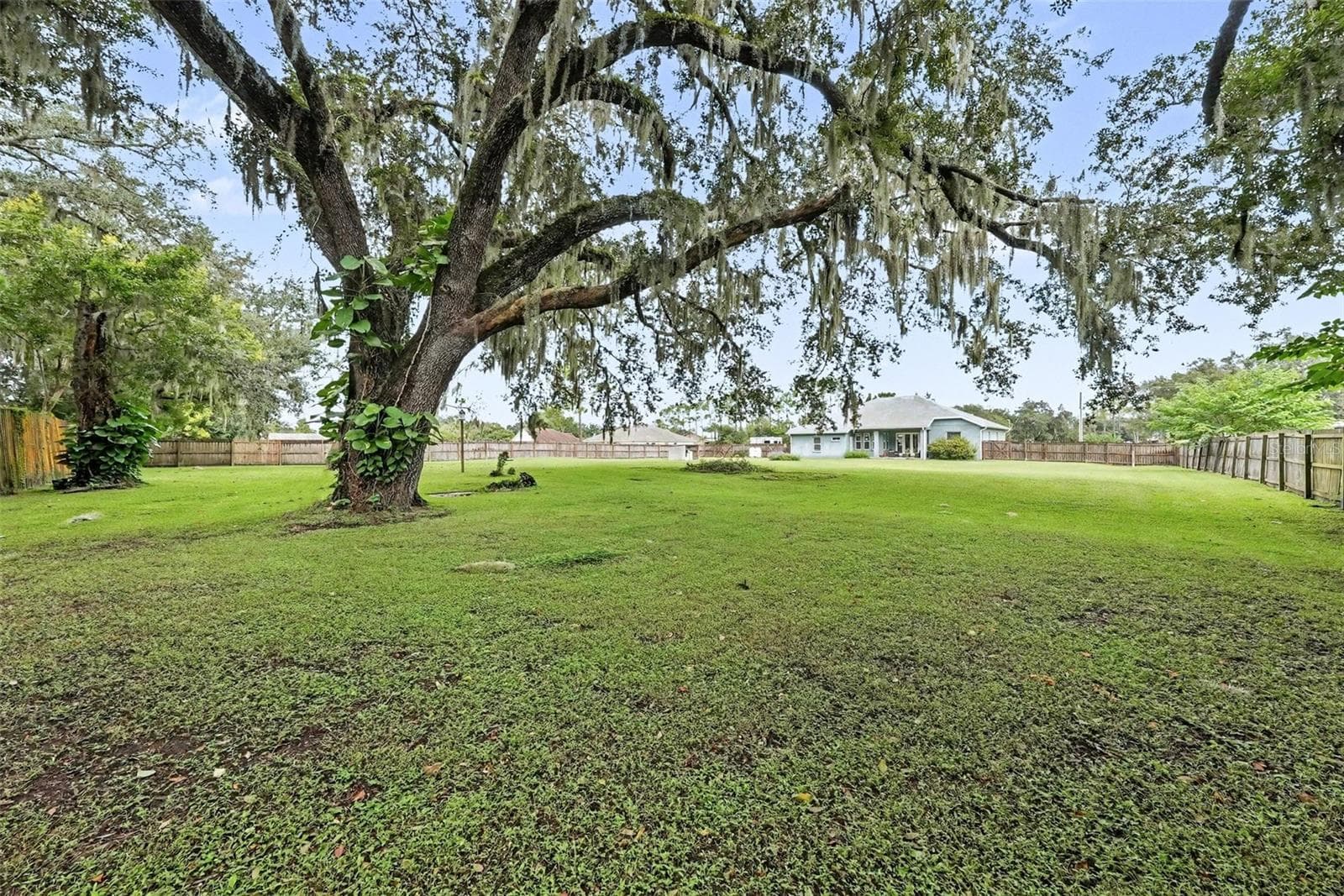 Single Family Residence at 6207 STORCK ACRES LN, PLANT CITY, photo 54 of 64