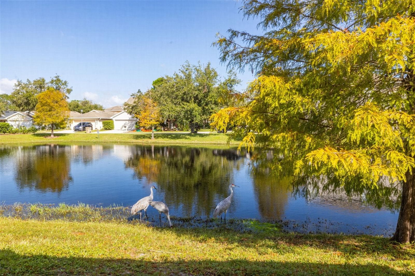 Single Family Residence at 7831 STONELEIGH DR, LAND O LAKES, photo 31 of 61