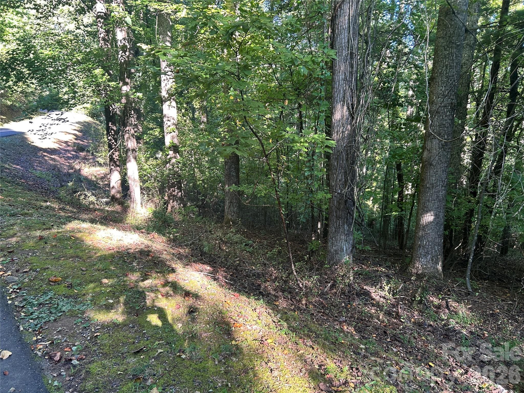 Lot at 573 Solomon Circle, Hendersonville, photo 3 of 6
