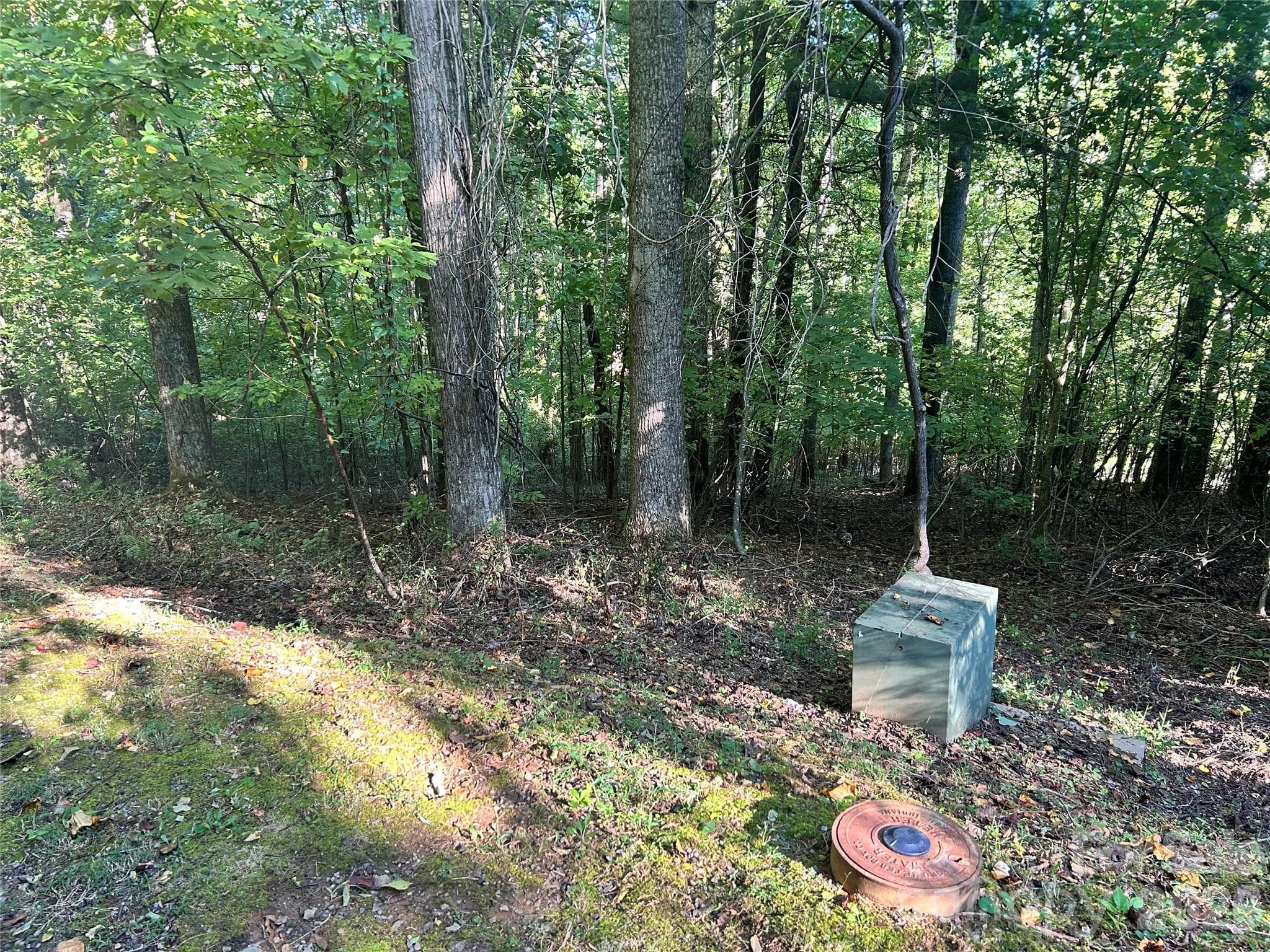 Lot at 573 Solomon Circle, Hendersonville, photo 5 of 6