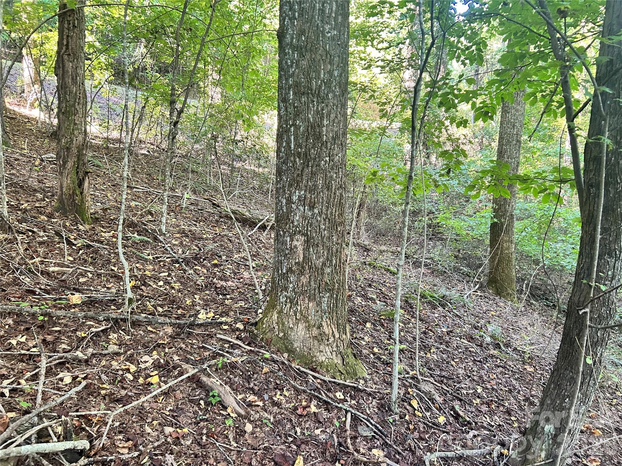 Lot at 573 Solomon Circle, Hendersonville, photo 6 of 6