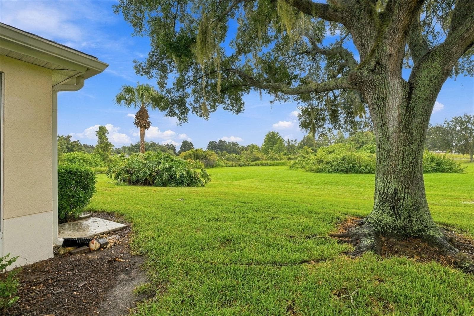 Side of the home looking into the back yard - 2333 BROOKFIELD GREENS CIR #45, SUN CITY CENTER