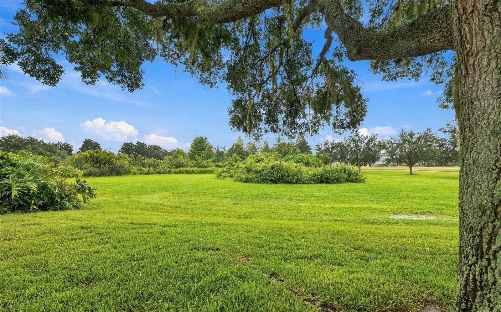 LARGE private backyard - 2333 BROOKFIELD GREENS CIR #45, SUN CITY CENTER