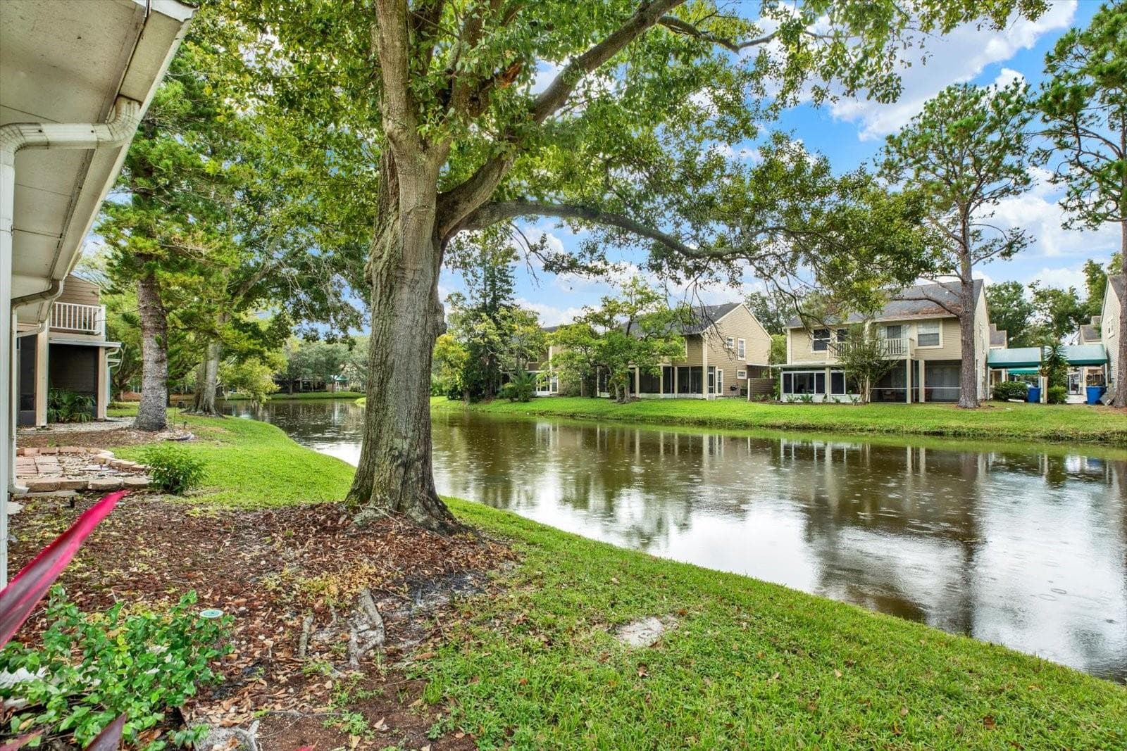 Backyard - 9010 LAKE PLACE LN, TAMPA