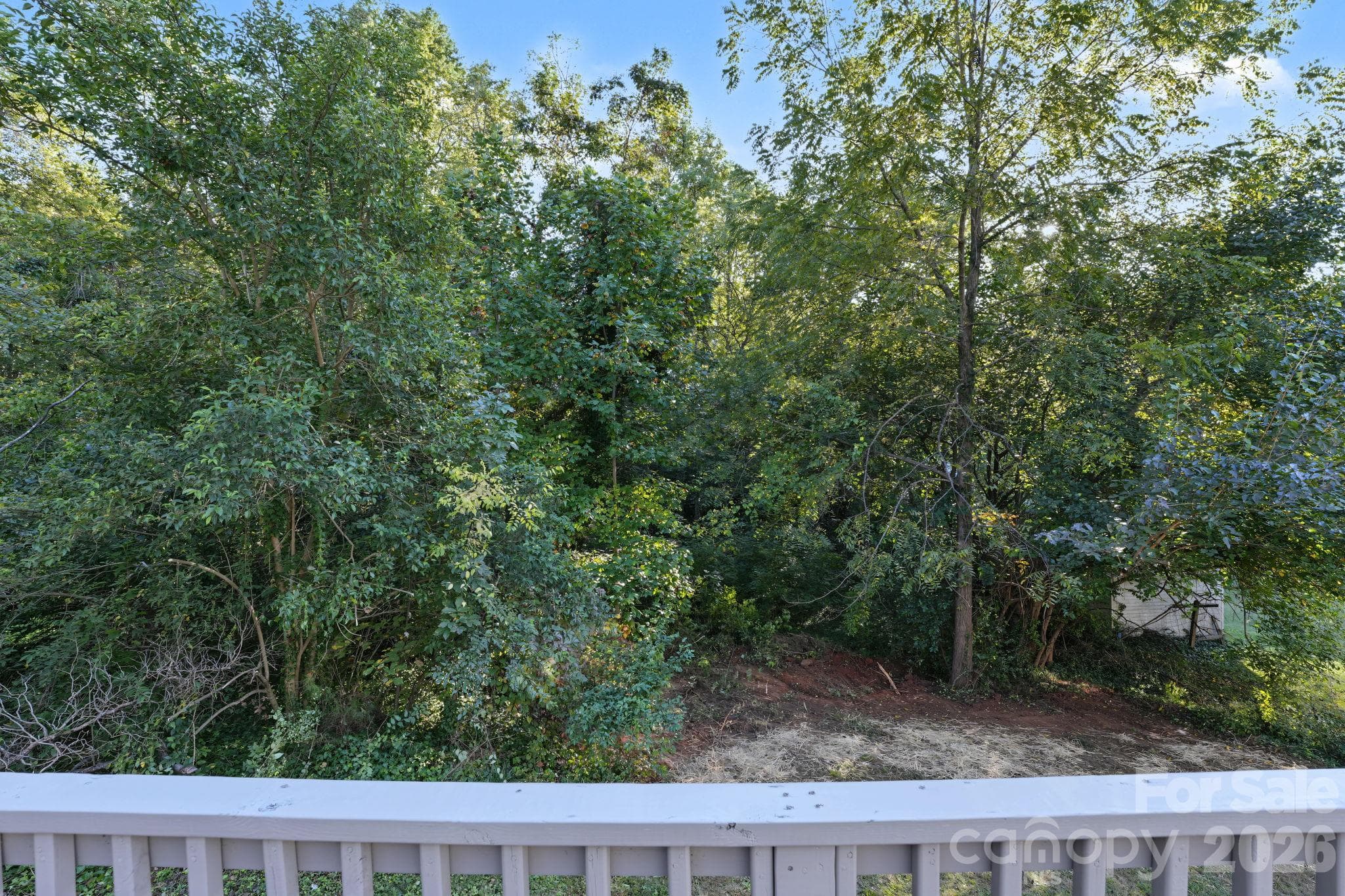 Single Family Residence at 1157 Calhoun Street, Rock Hill, photo 37 of 39
