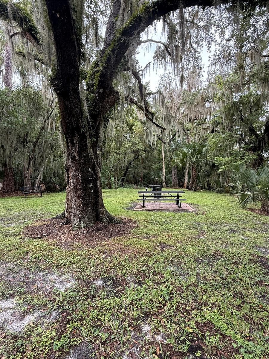 Riverside park pic-nic area & gazebo - 339 LAZIO CIR, DEBARY