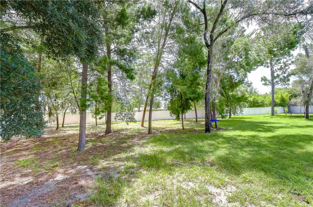 Single Family Residence at 3358 Ponytail CT, SPRINGHILL FL 34609, Spring Hill, photo 39 of 40