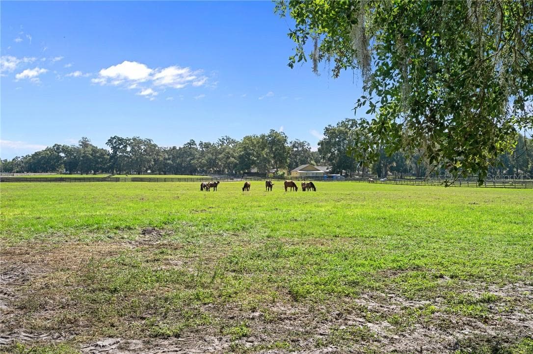 Residential at 17454 S Highway 475, SUMMERFIELD FL 34491, Summerfield, photo 58 of 86