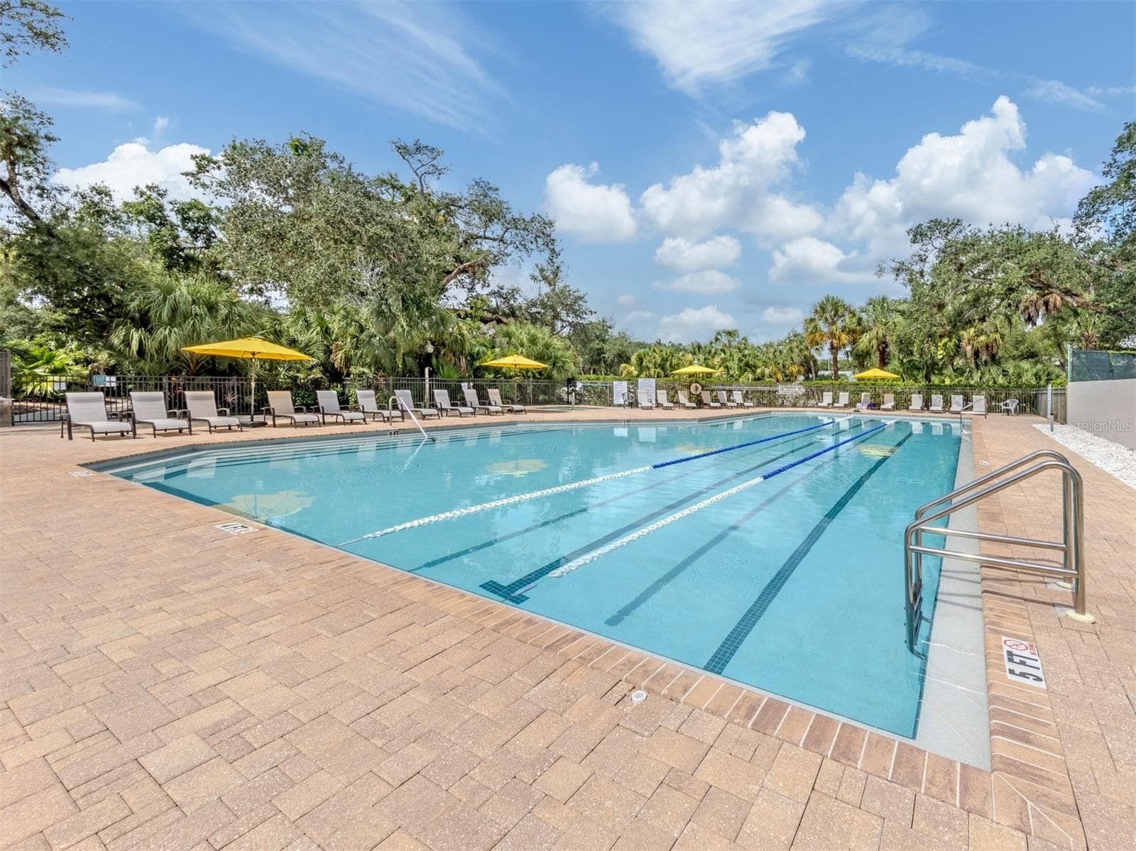 The Meadows Pool - 4713 WINSLOW BEACON #5, SARASOTA