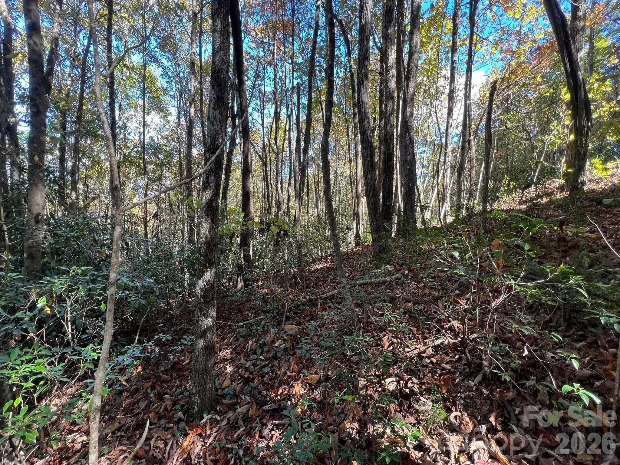 Lot at 0 Wild Magnolia Way, Zirconia, photo 2 of 13