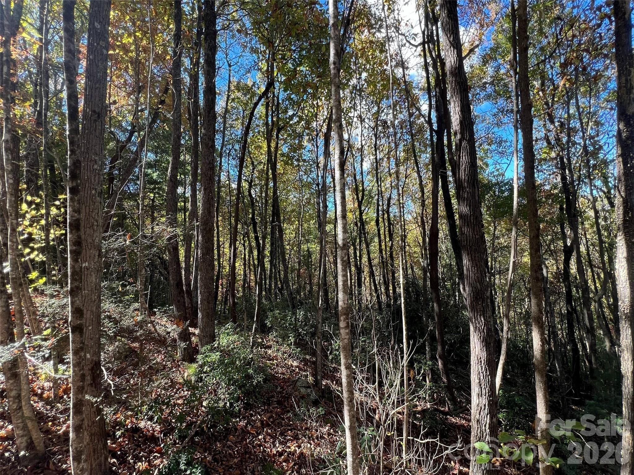 Lot at 0 Wild Magnolia Way, Zirconia, photo 4 of 13