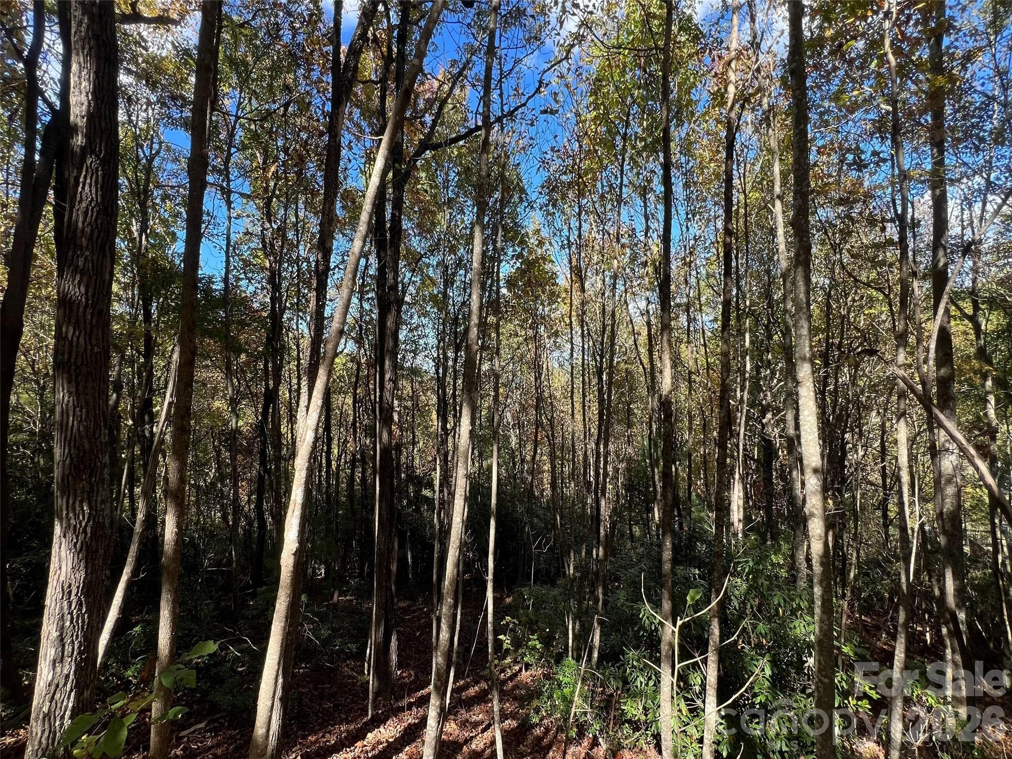 Lot at 0 Wild Magnolia Way, Zirconia, photo 5 of 13
