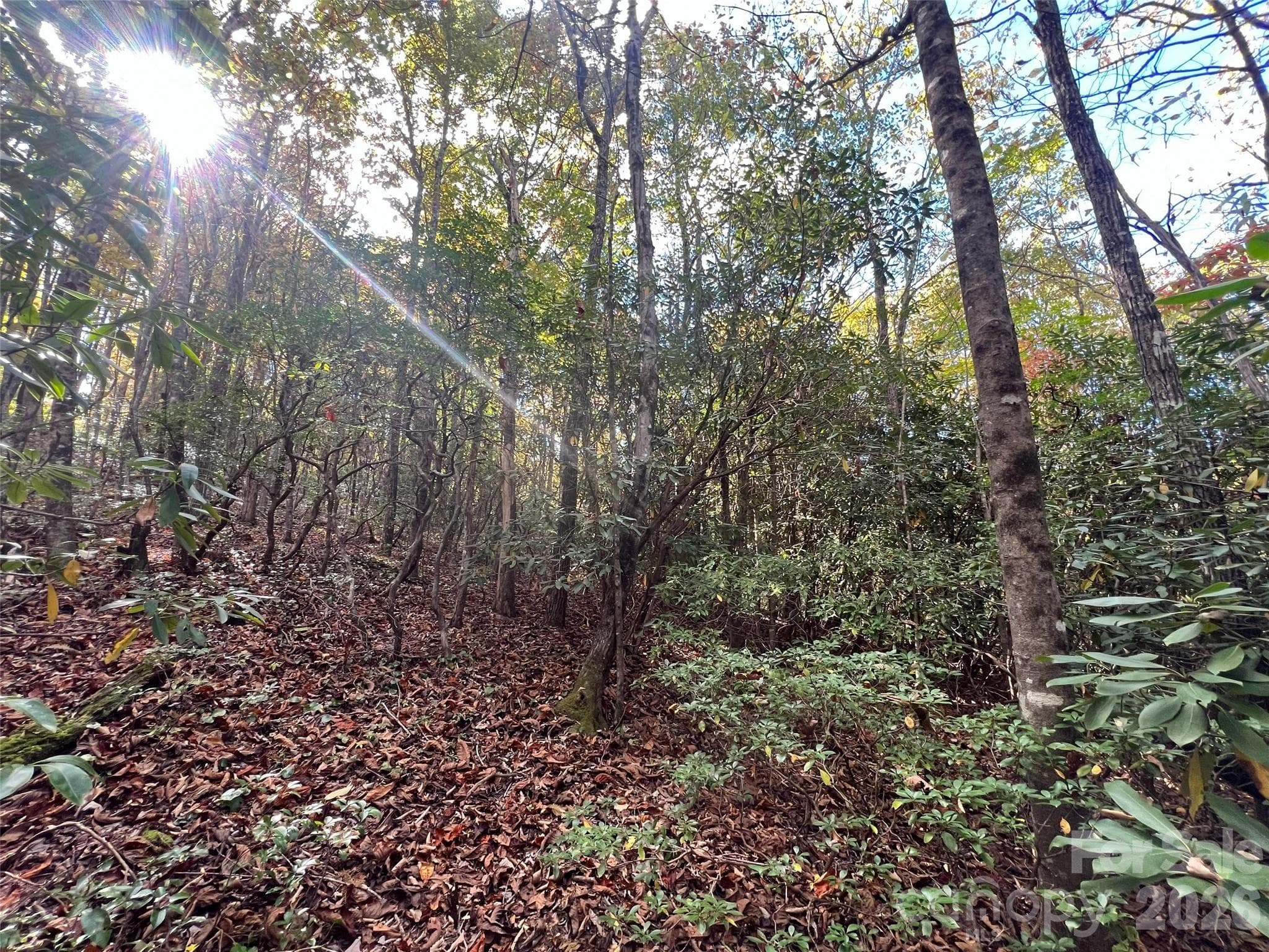 Lot at 0 Wild Magnolia Way, Zirconia, photo 6 of 13