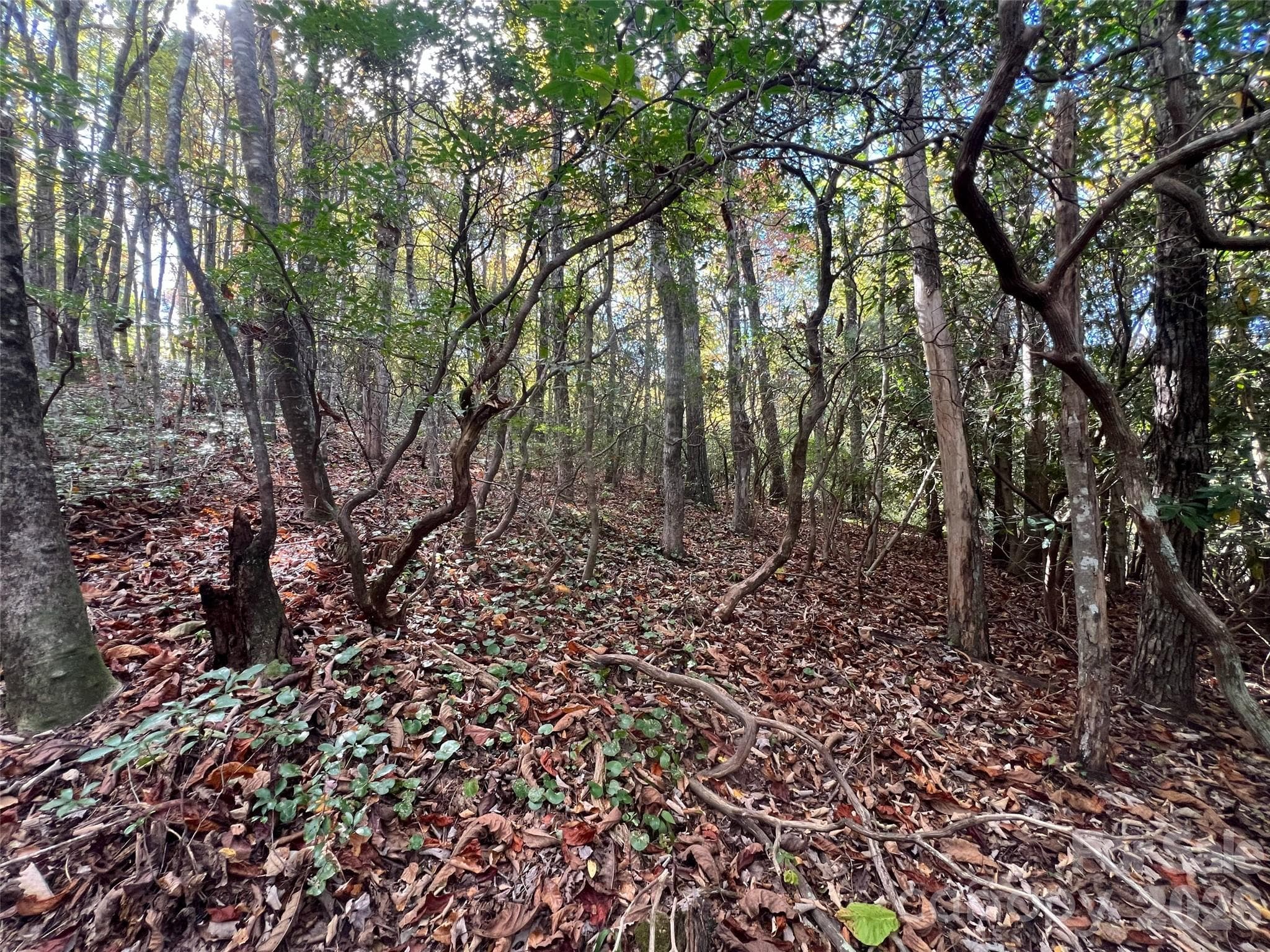 Lot at 0 Wild Magnolia Way, Zirconia, photo 7 of 13
