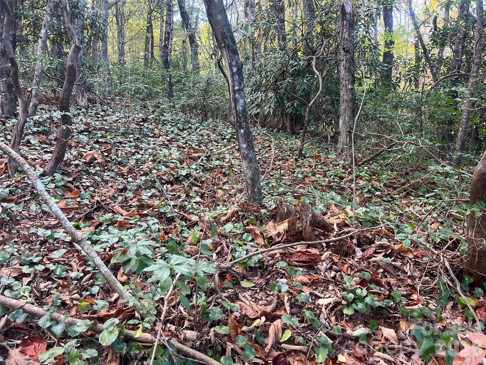 Lot at 0 Wild Magnolia Way, Zirconia, photo 8 of 13