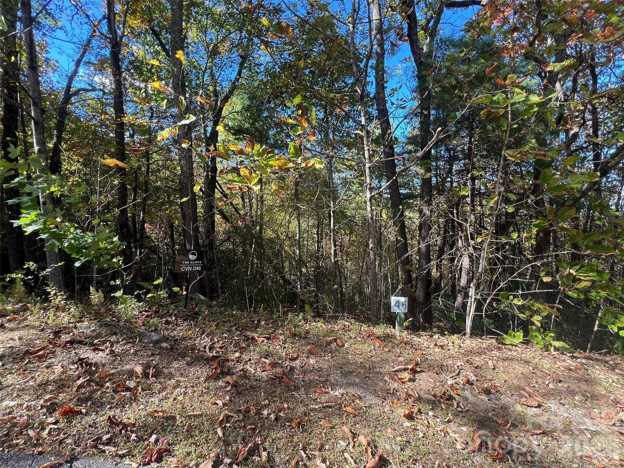 Lot at 0 Wild Magnolia Way, Zirconia, photo 12 of 13
