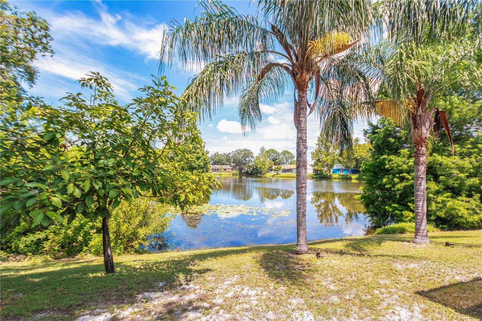 Water view - 4311 COUNTY BREEZE DR, NEW PORT RICHEY