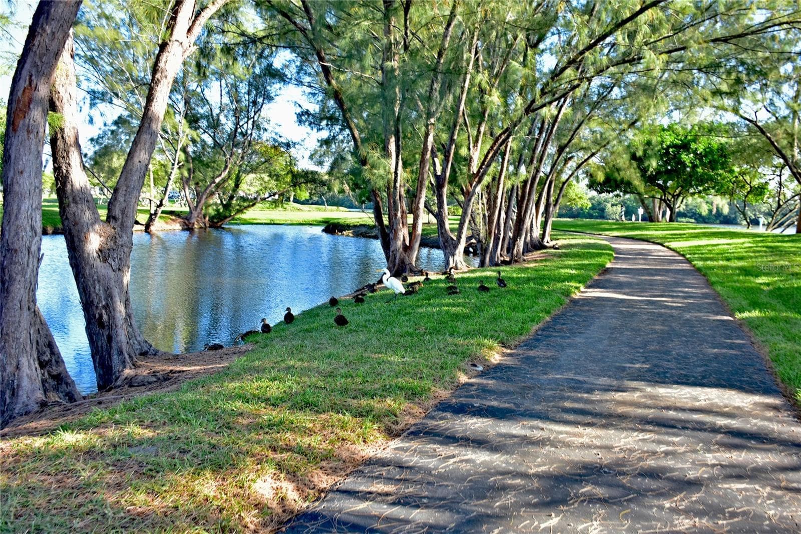 Mt Vernon bay front park walking path - 9413 CONCORD CIR, BRADENTON