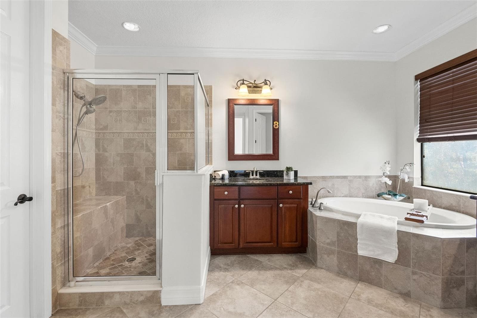 Primary En-Suite-Soaking Tub - 8264 DUNHAM STATION DR, TAMPA