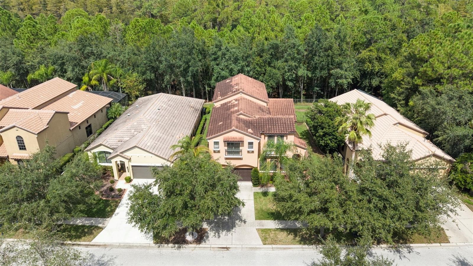 Conservation Lot - 8264 DUNHAM STATION DR, TAMPA