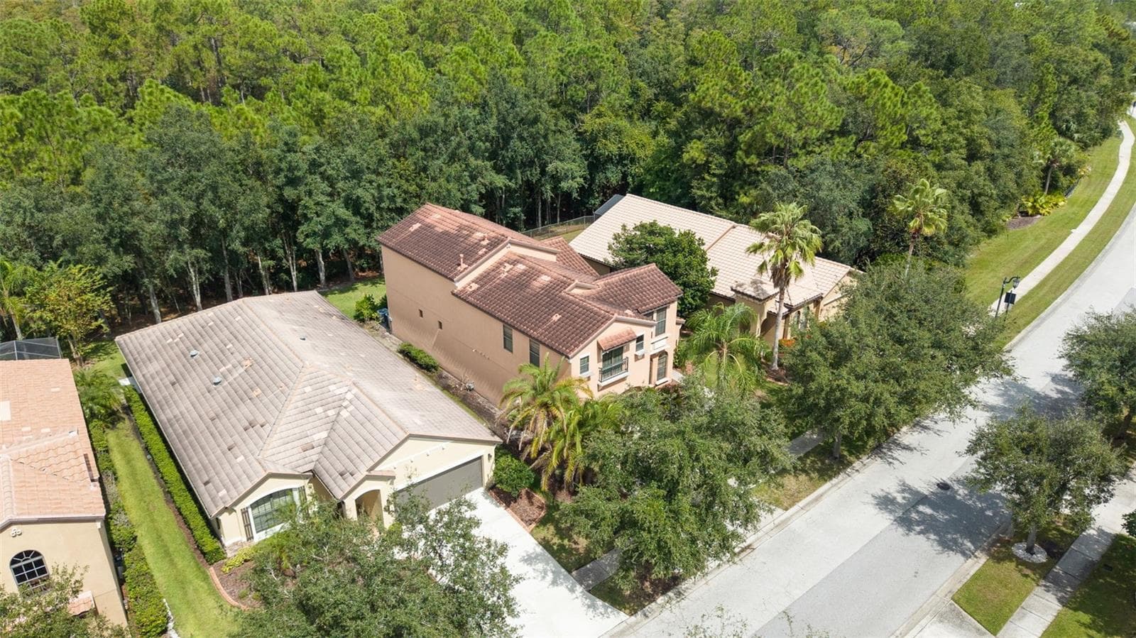 Aerial Of Property - 8264 DUNHAM STATION DR, TAMPA